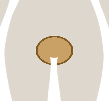 Strefa depilacji: Bikini
